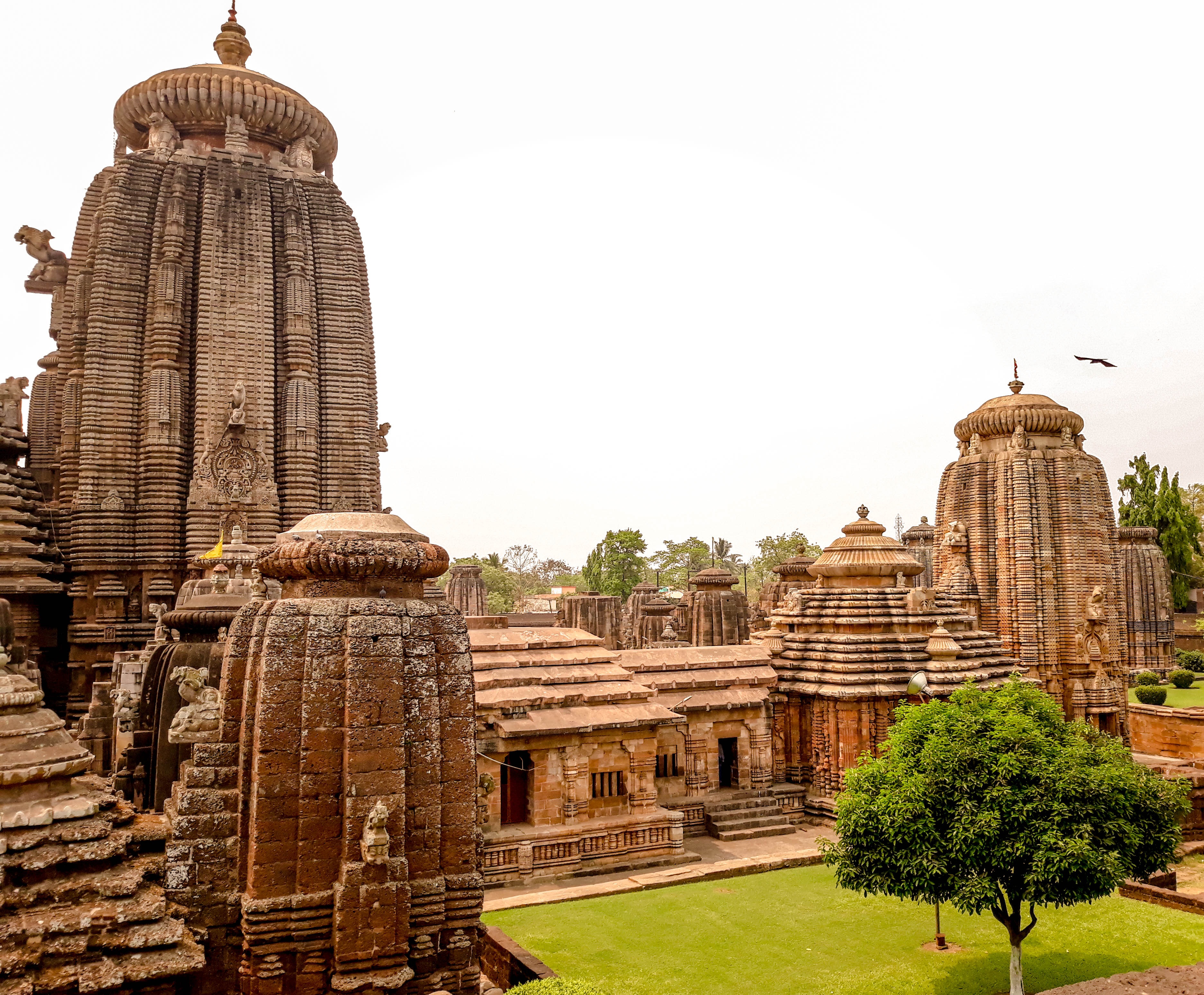 Puri Rath Yatra Vacation Package