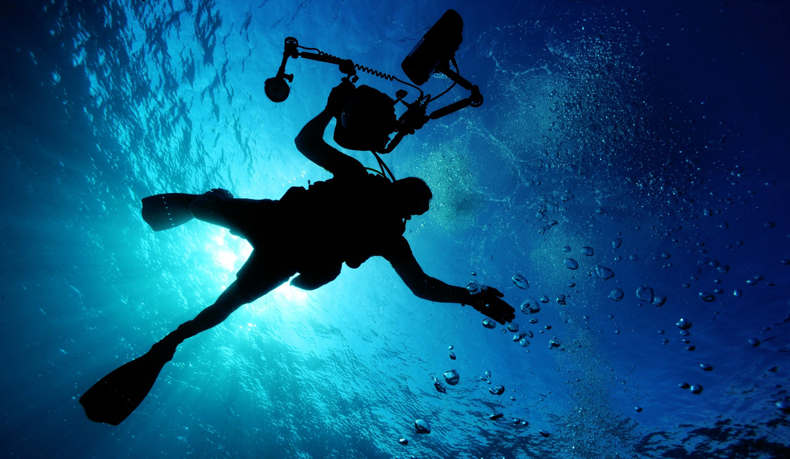 Nights with Diving