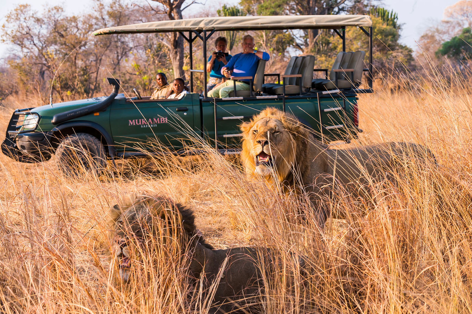 7 Night Safari in Kafue National Park