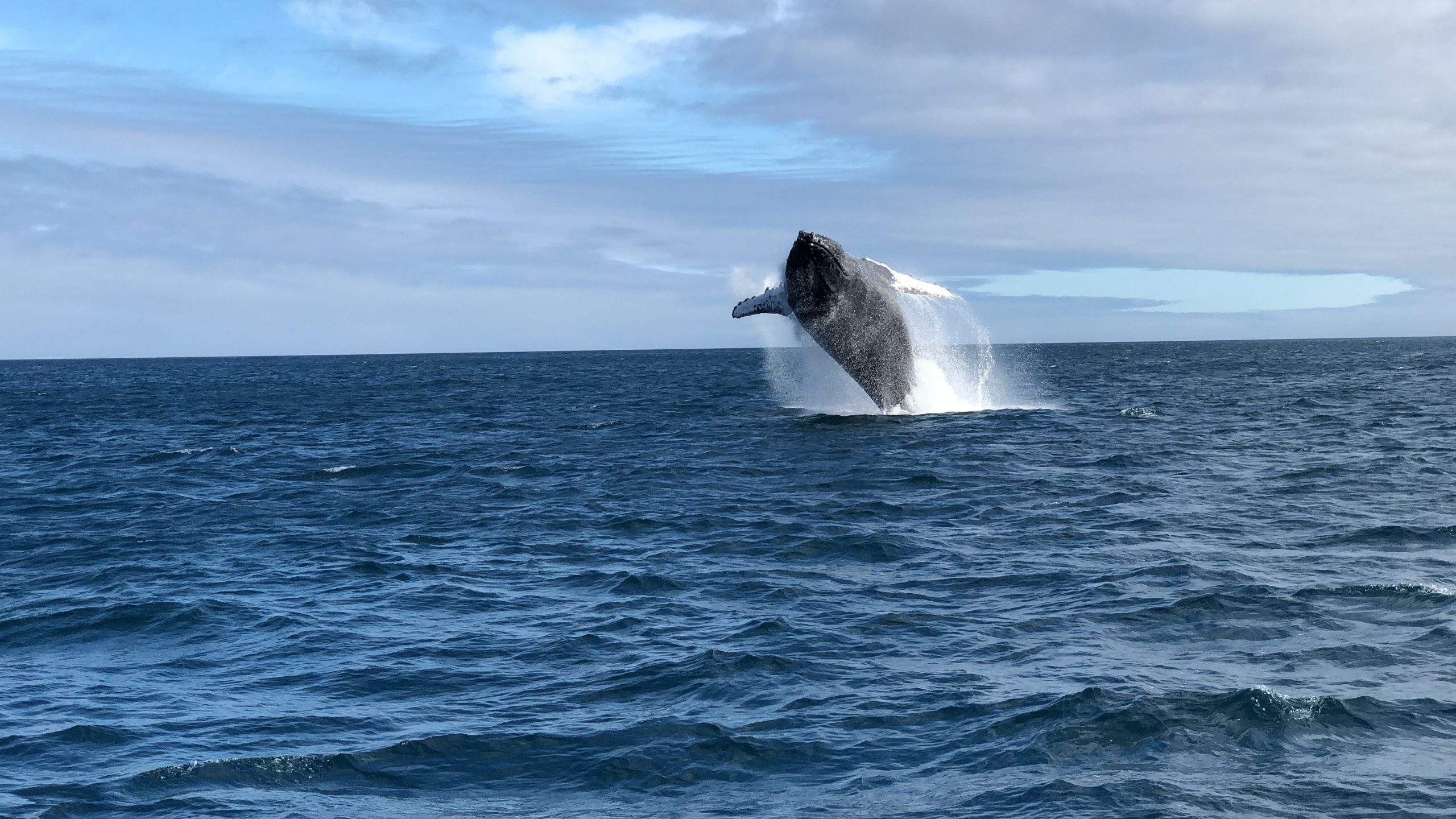 Galapagos luxury trip and Peru