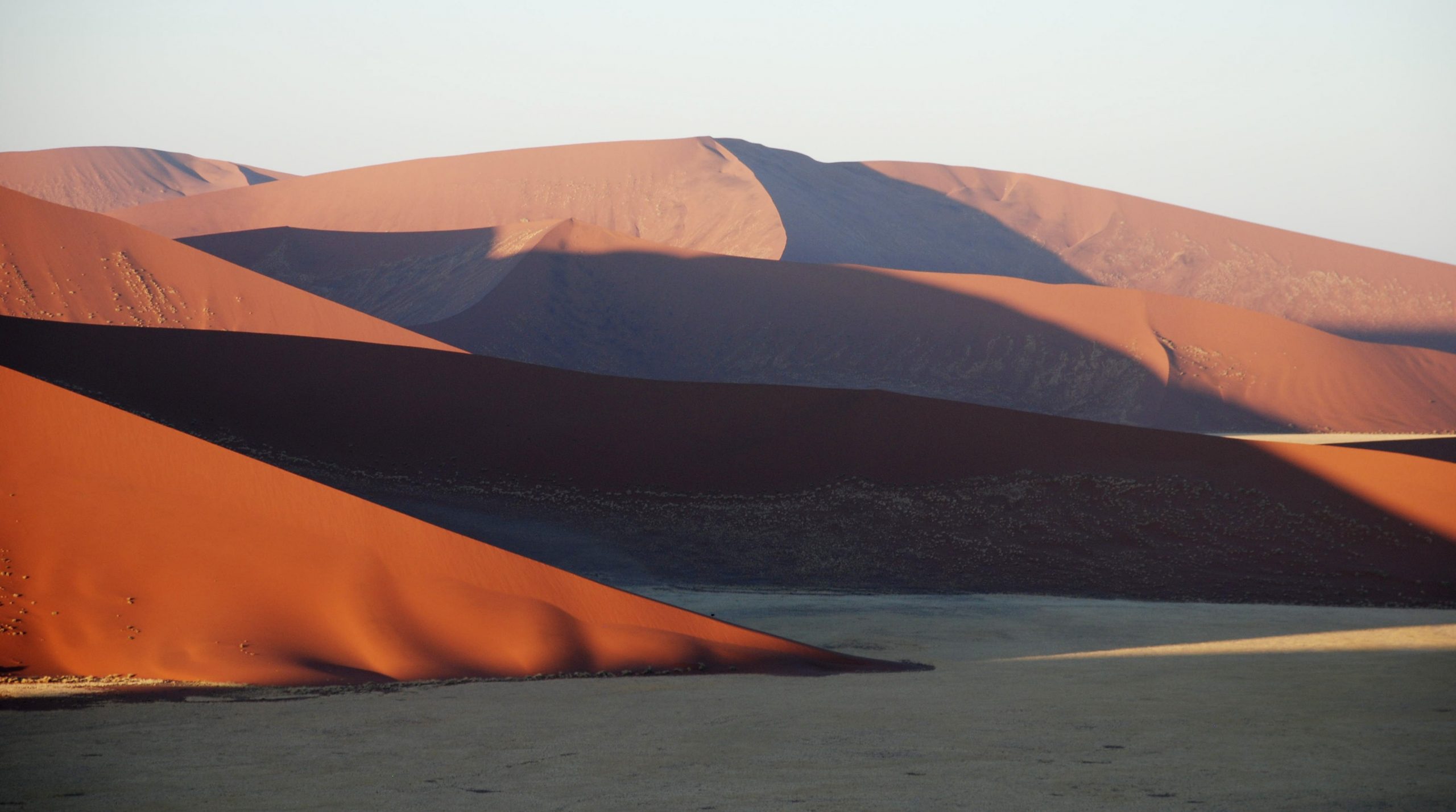 Desert Dune Safari A Wilderness Exploration – 13 nights /14 days