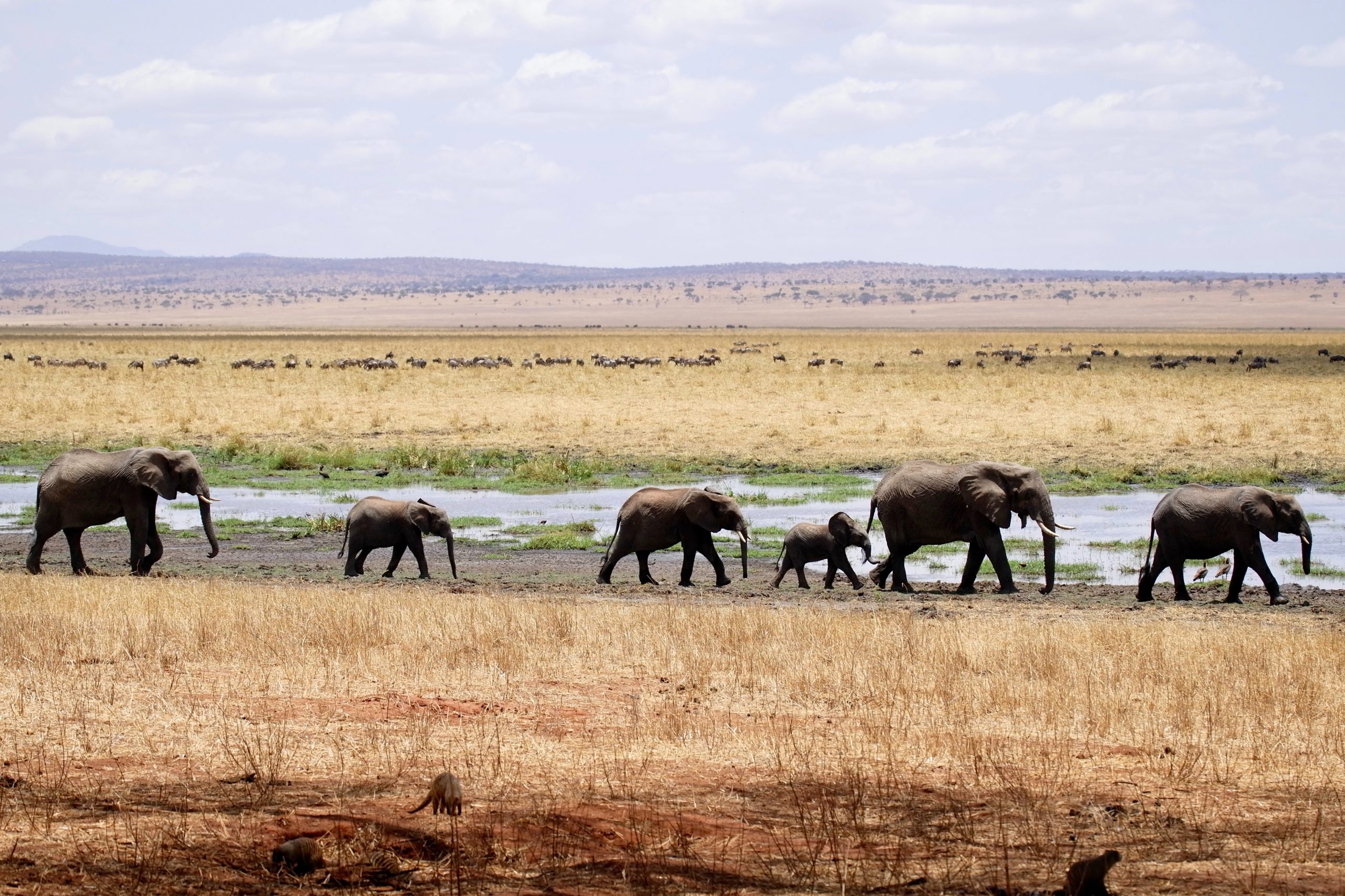 A WEEK IN NORTHERN TANZANIA