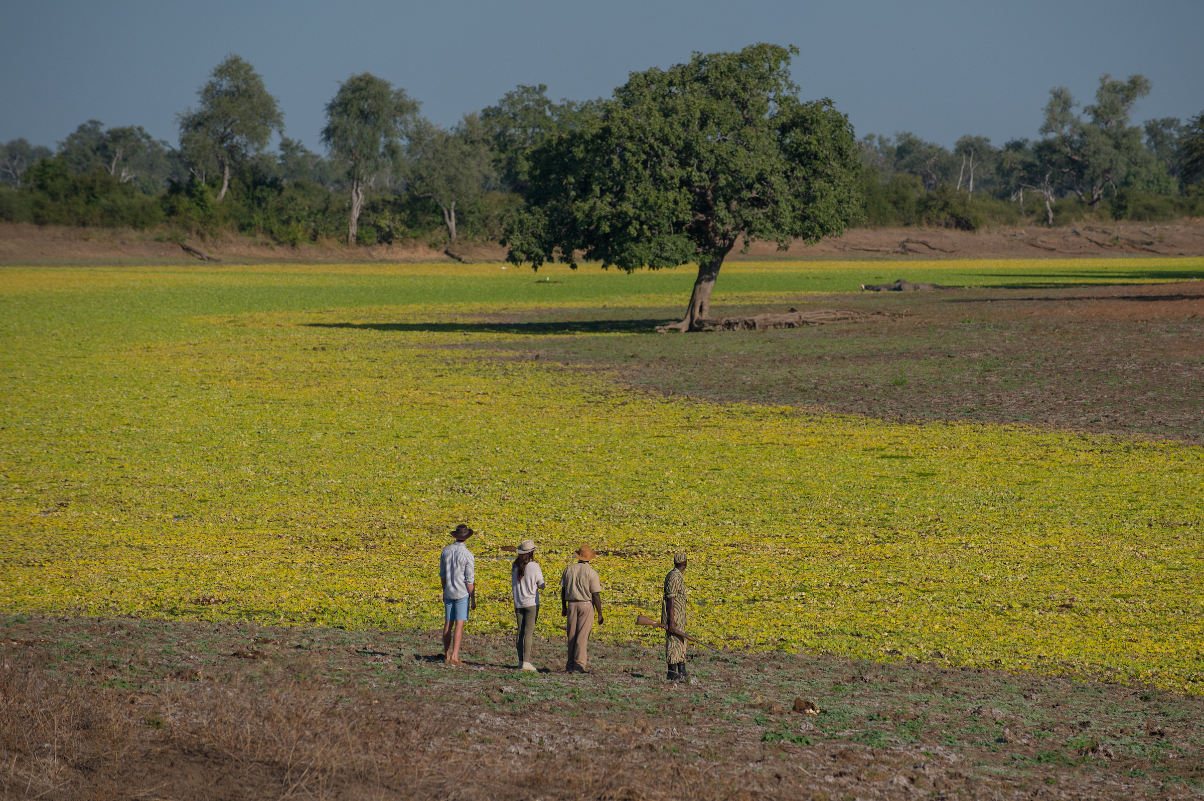 10 Nights Luangwa _ Livingstone with RPS