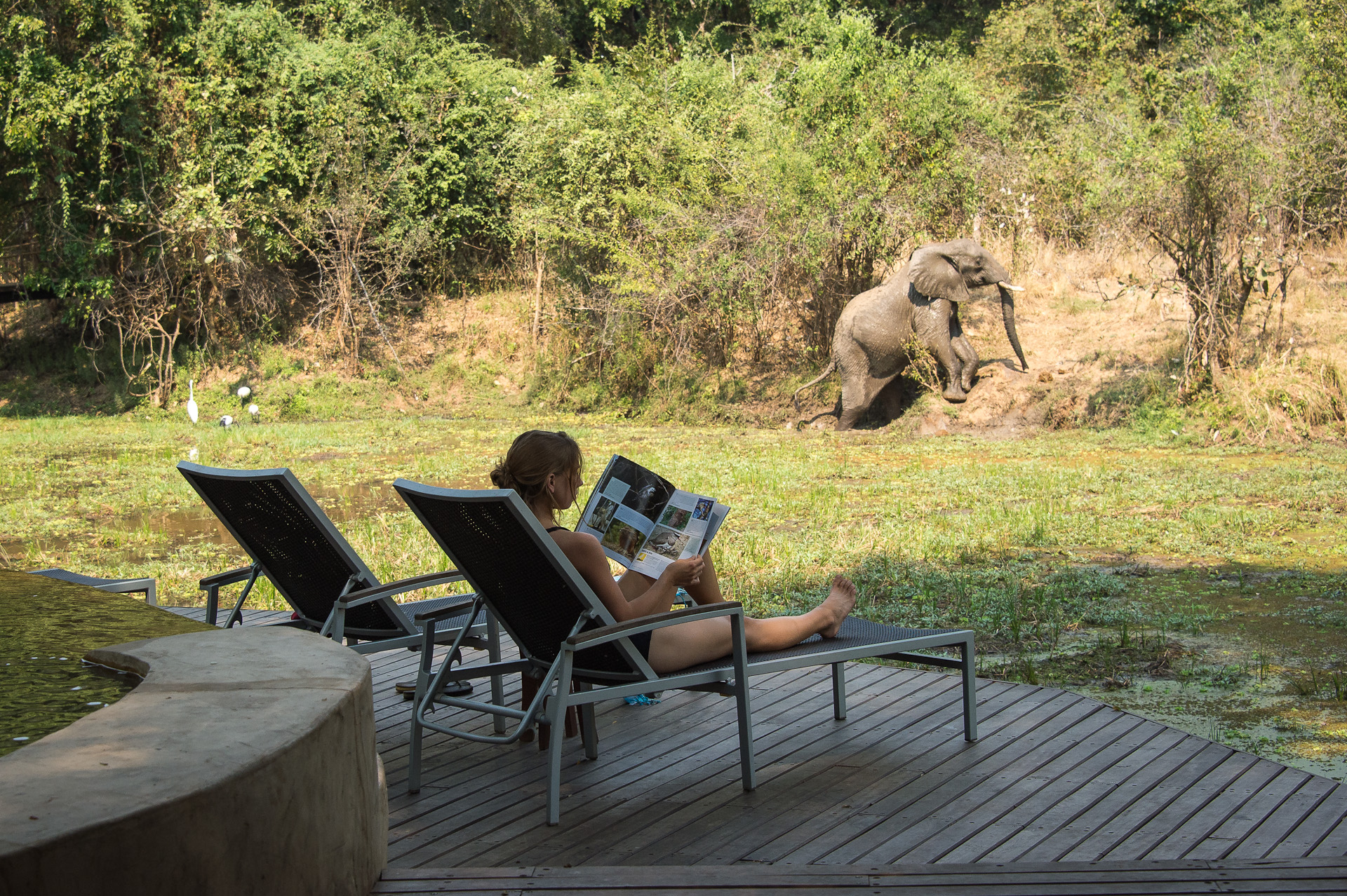 10 Nights Luangwa Lower Zambezi _ Livingstone – Luxury A