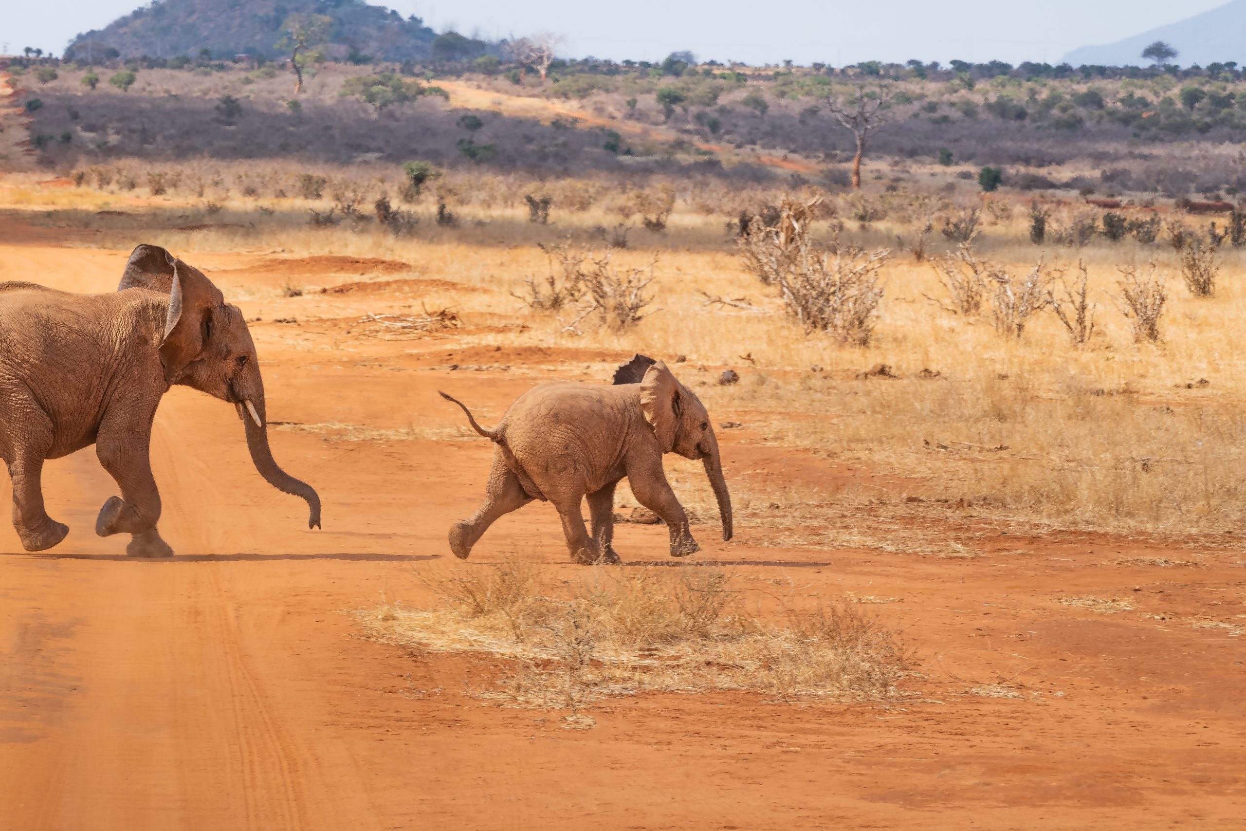 Private Villas in Kenya