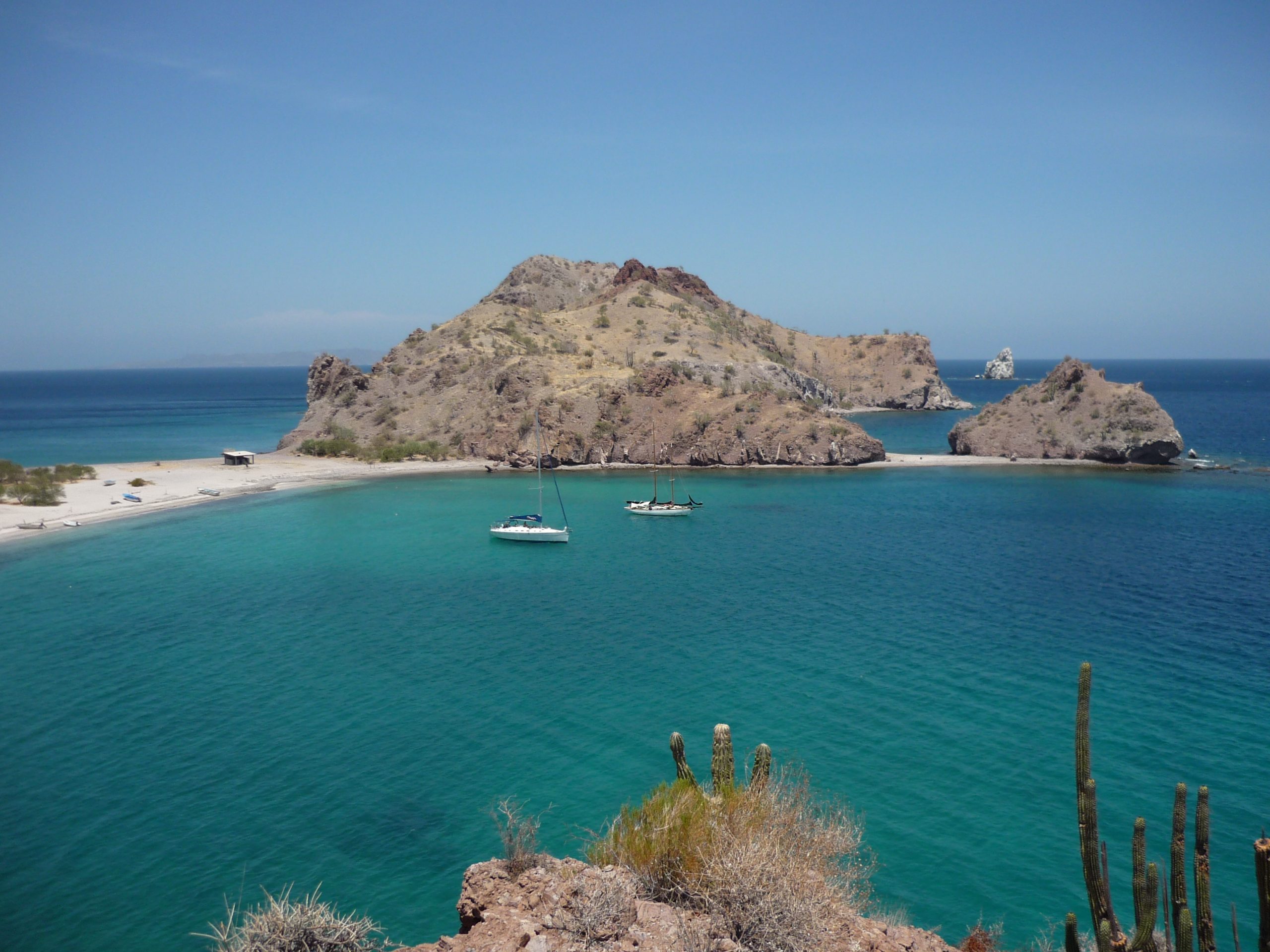 DISCOVERING THE SEA OF CORTEZ- HIDDEN BEACHES, WHALES, AND WHALE SHARKS