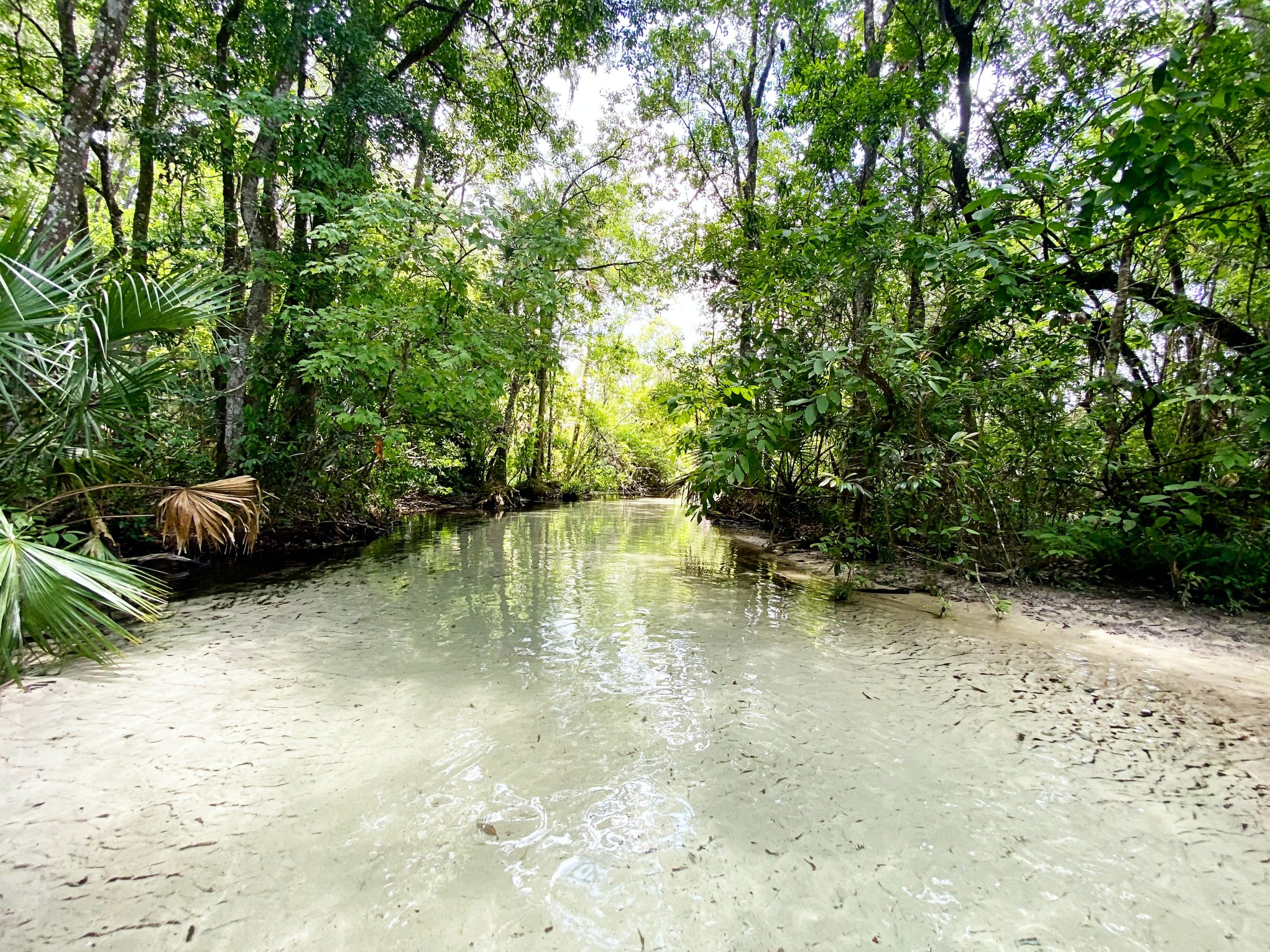 AMAZON JUNGLE CRUISES – MANATEE: 4 Nights / 5 Days