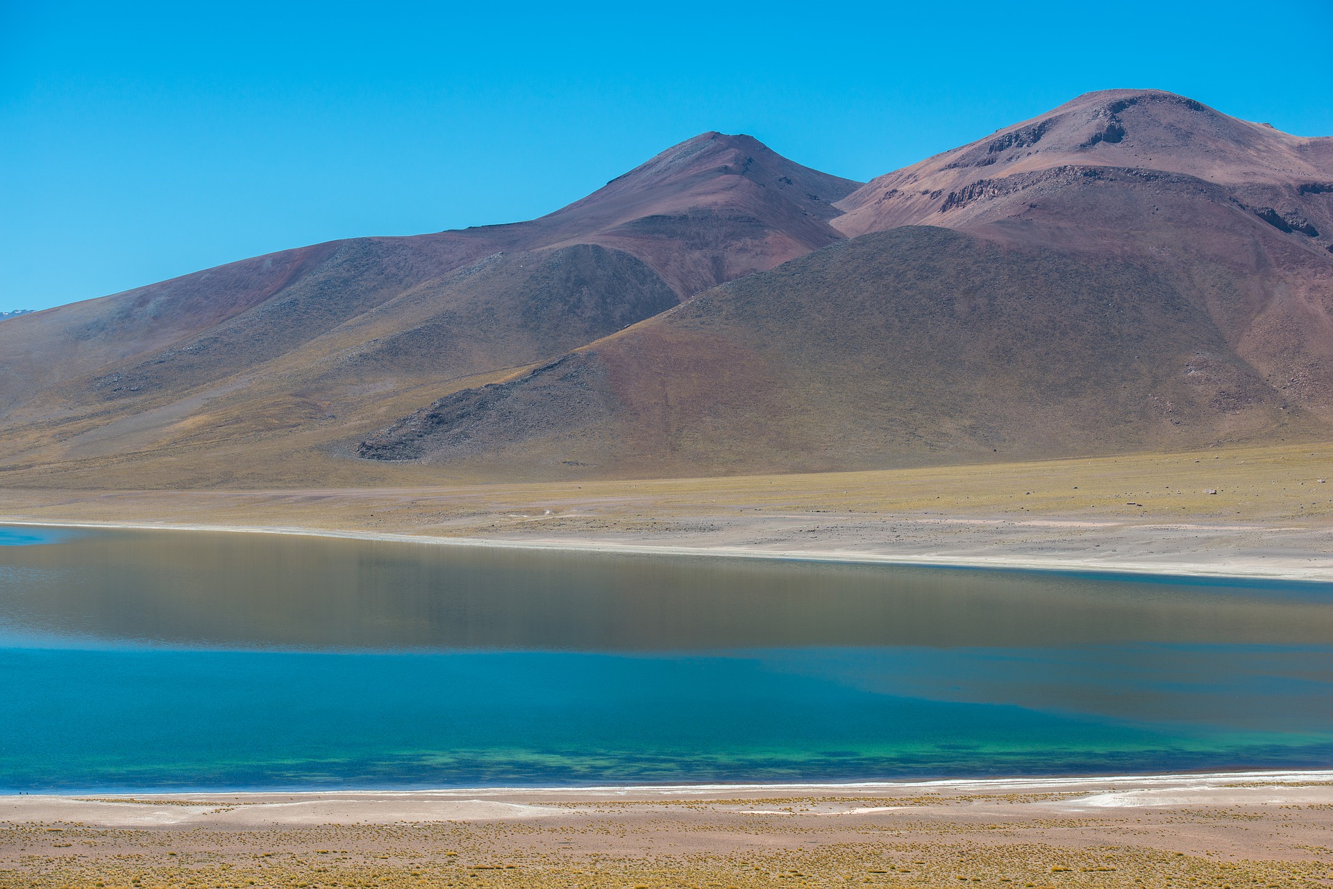 Chile 2021: Desert & National Park