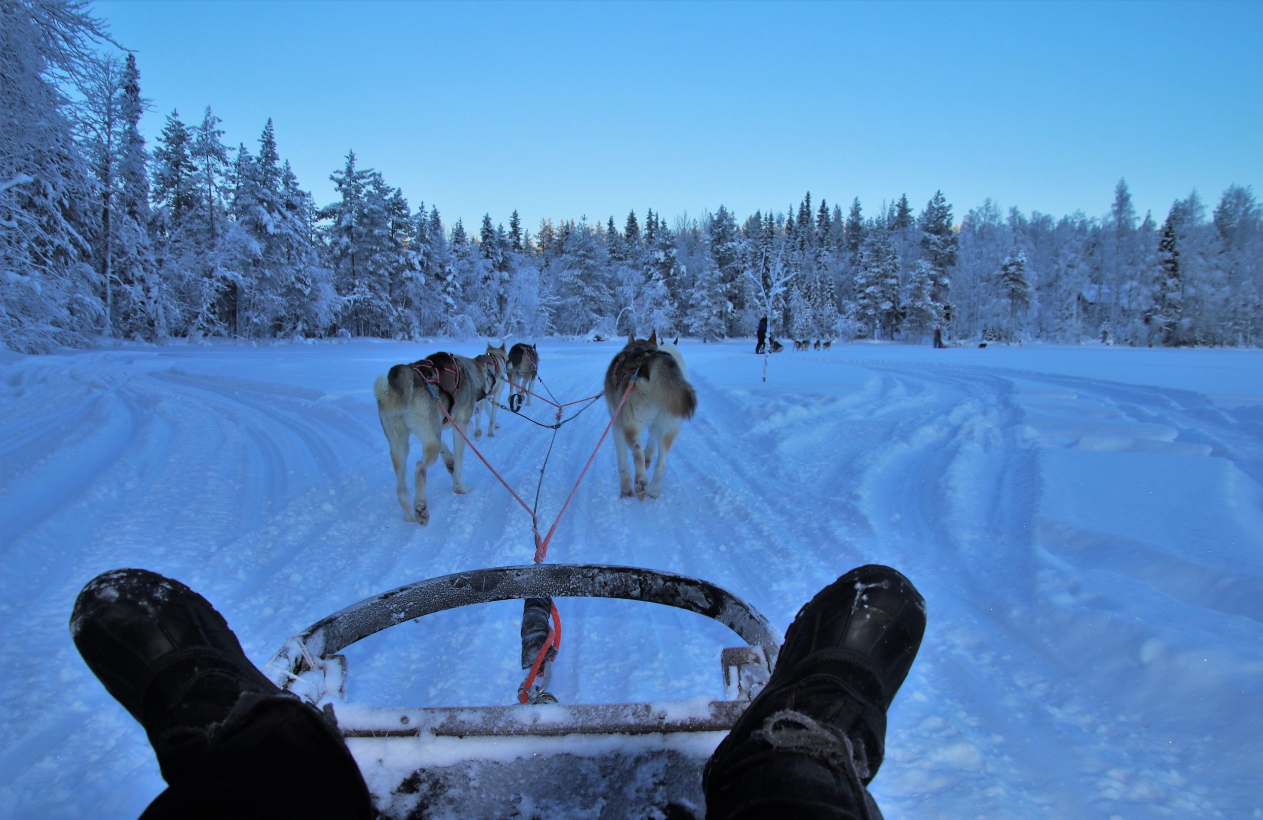 Lapland Safari Wilderness Expedition Finland 5 Days